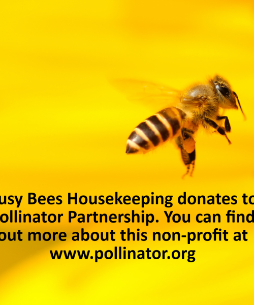 busy-bees-home-cleaning-bee-flying